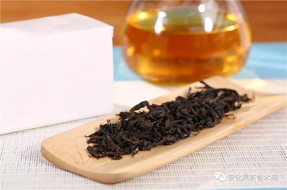 安化黑茶有茶梗，关于茶梗你知道多少？