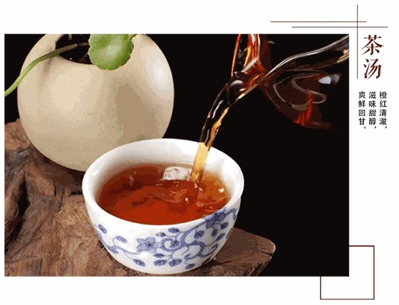 安化黑茶的金花是什么？它是一种无味的有益菌！