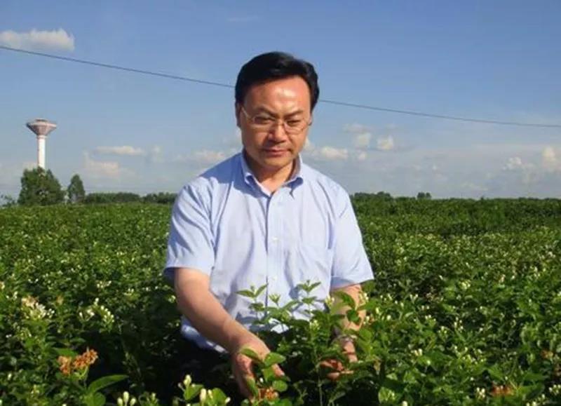 中国工程院院士刘仲华：如果你是这类人，一定要多喝黑茶！