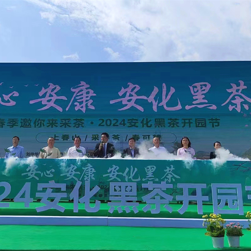 【重磅】2024安化黑茶开园节开幕，安化县茶产业发展大会召开