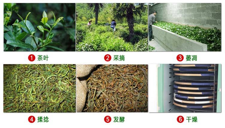 安化黑茶生产工艺