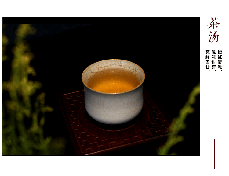 安化黑茶茯砖茶有什么功效